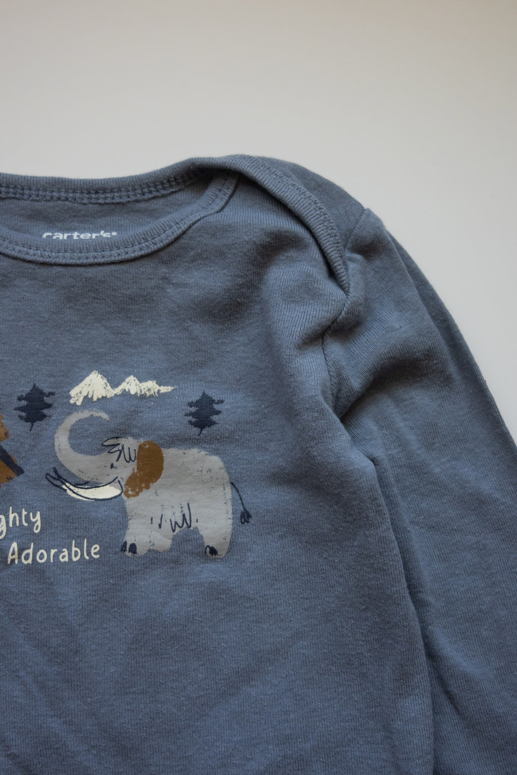 🌱 Carters - cache-couche 12M