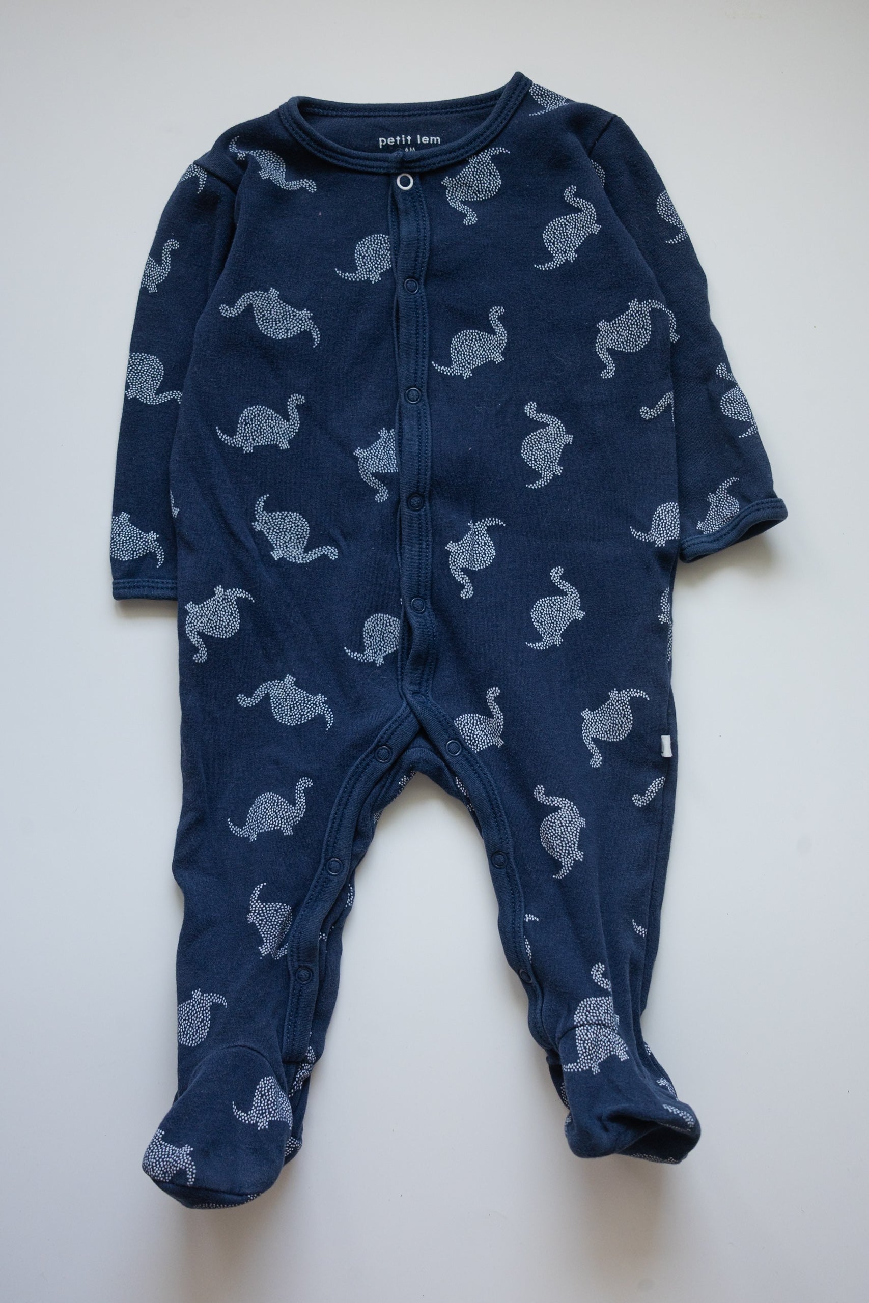 🌱 Petit lem - Pyjama 6M