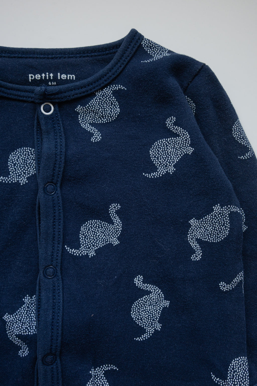 🌱 Petit lem - Pyjama 6M
