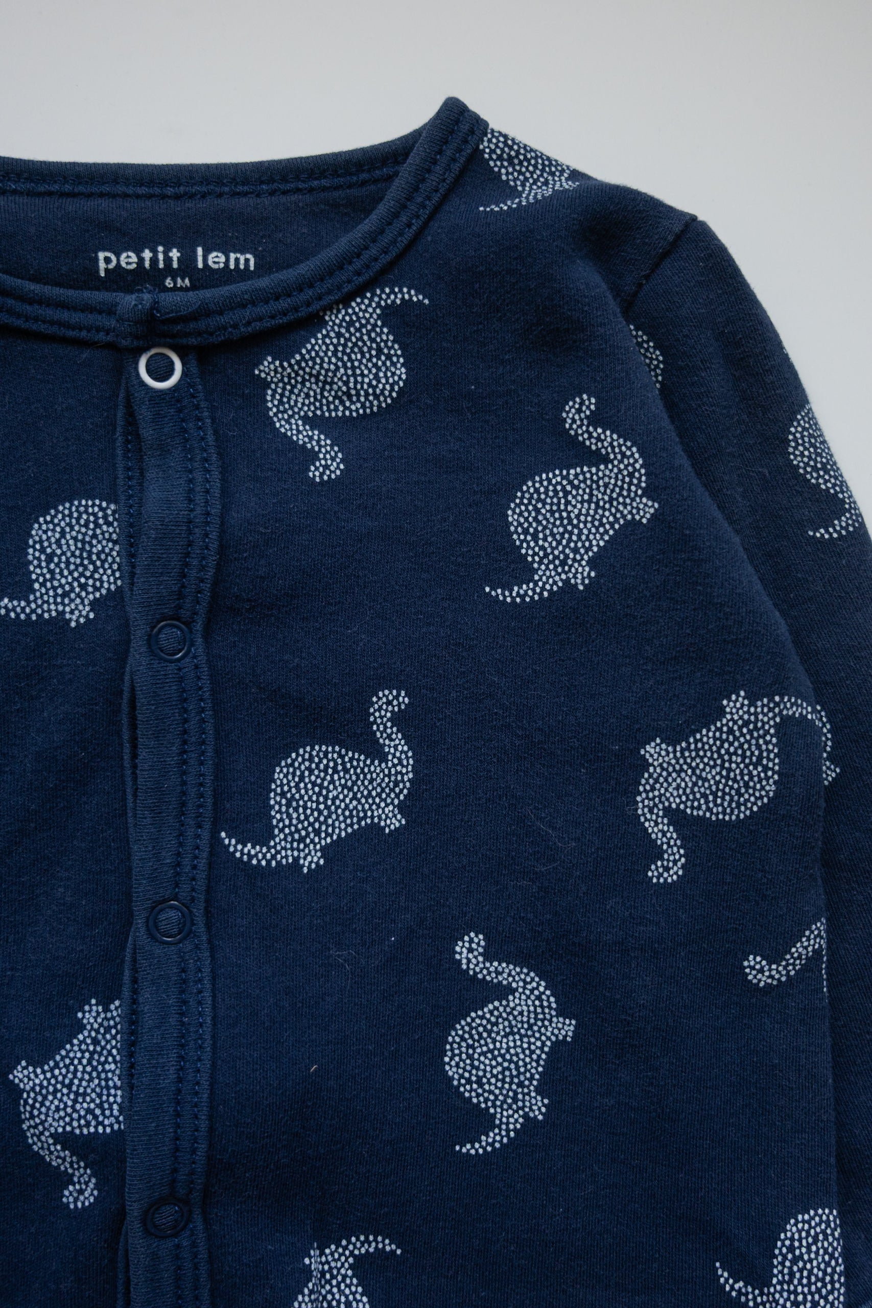 🌱 Petit lem - Pyjama 6M