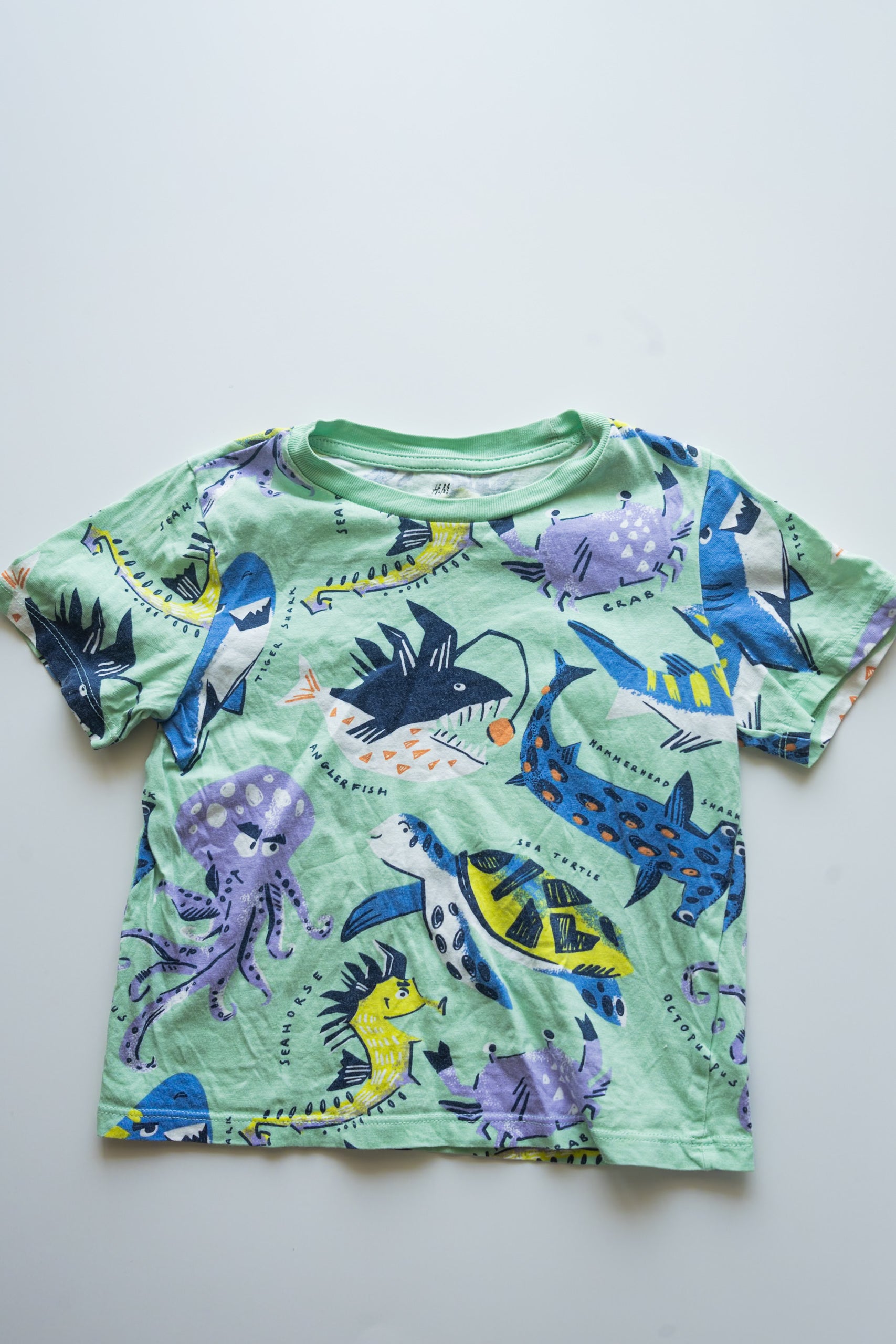🌱 H&M - T-shirt 2-4 ans