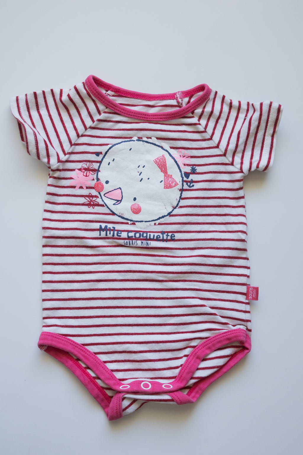 🌱 Souris Mini - Cache-couche 3M