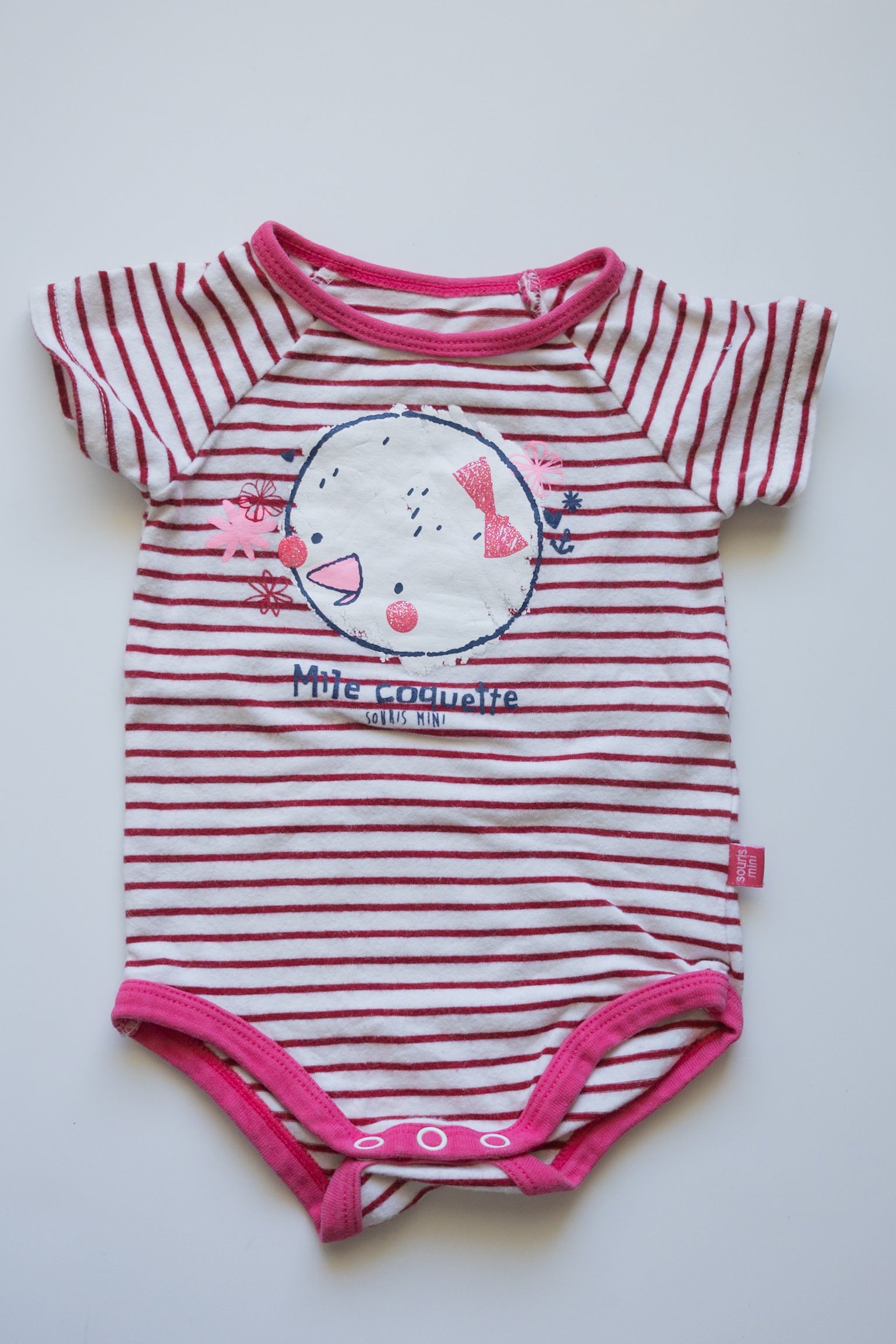 🌱 Souris Mini - Cache-couche 3M