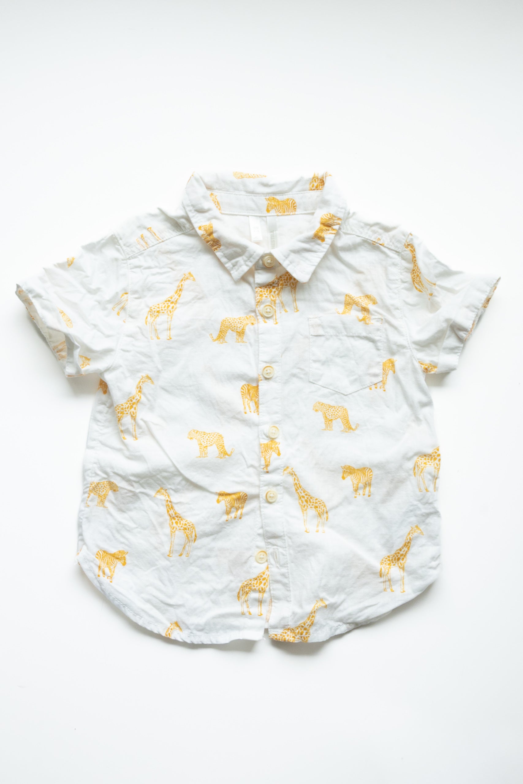 ⭐️ Orchestra - Chemise 18M